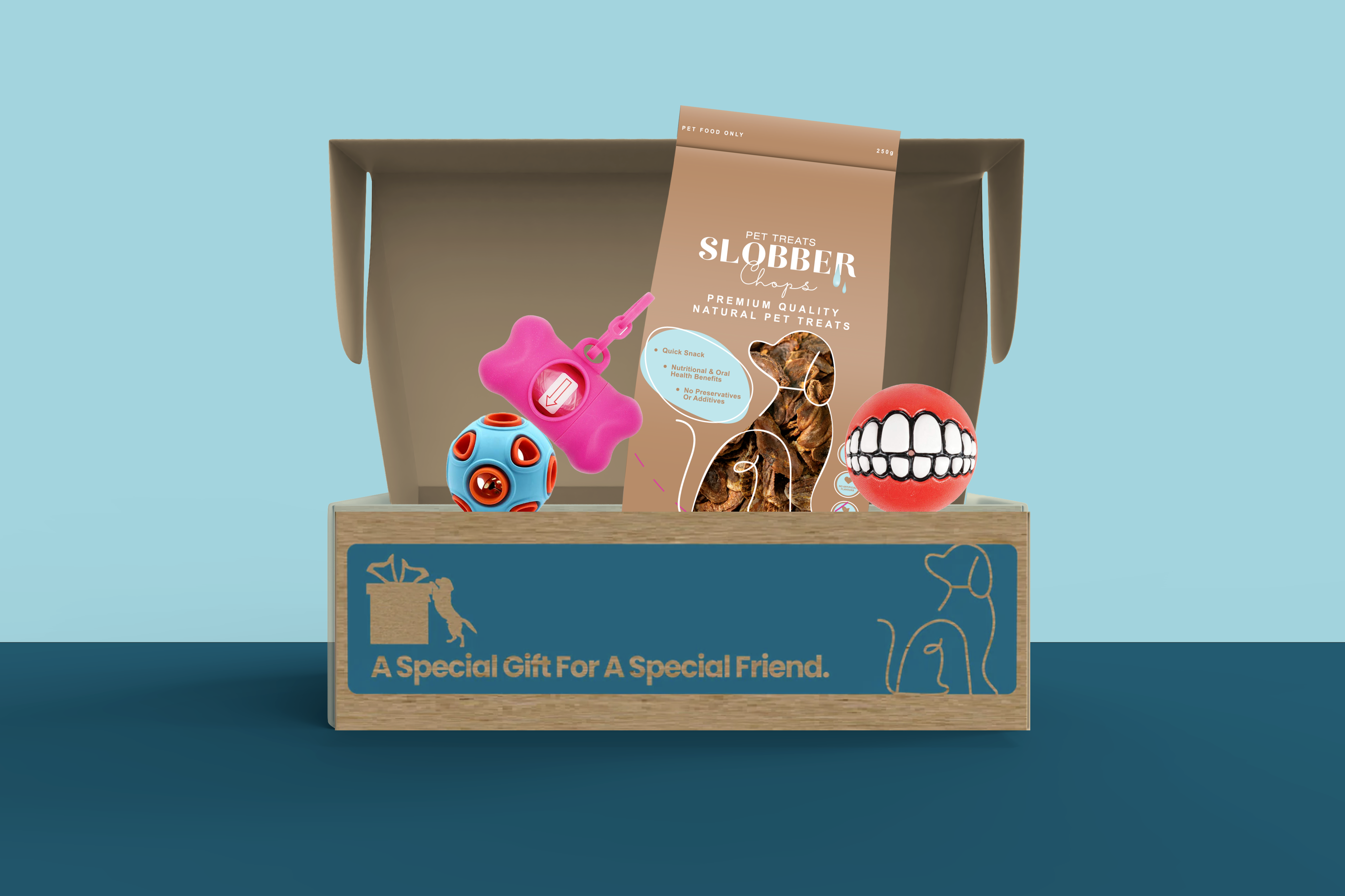 Dog Treat & Toys Present Box (Mini)
